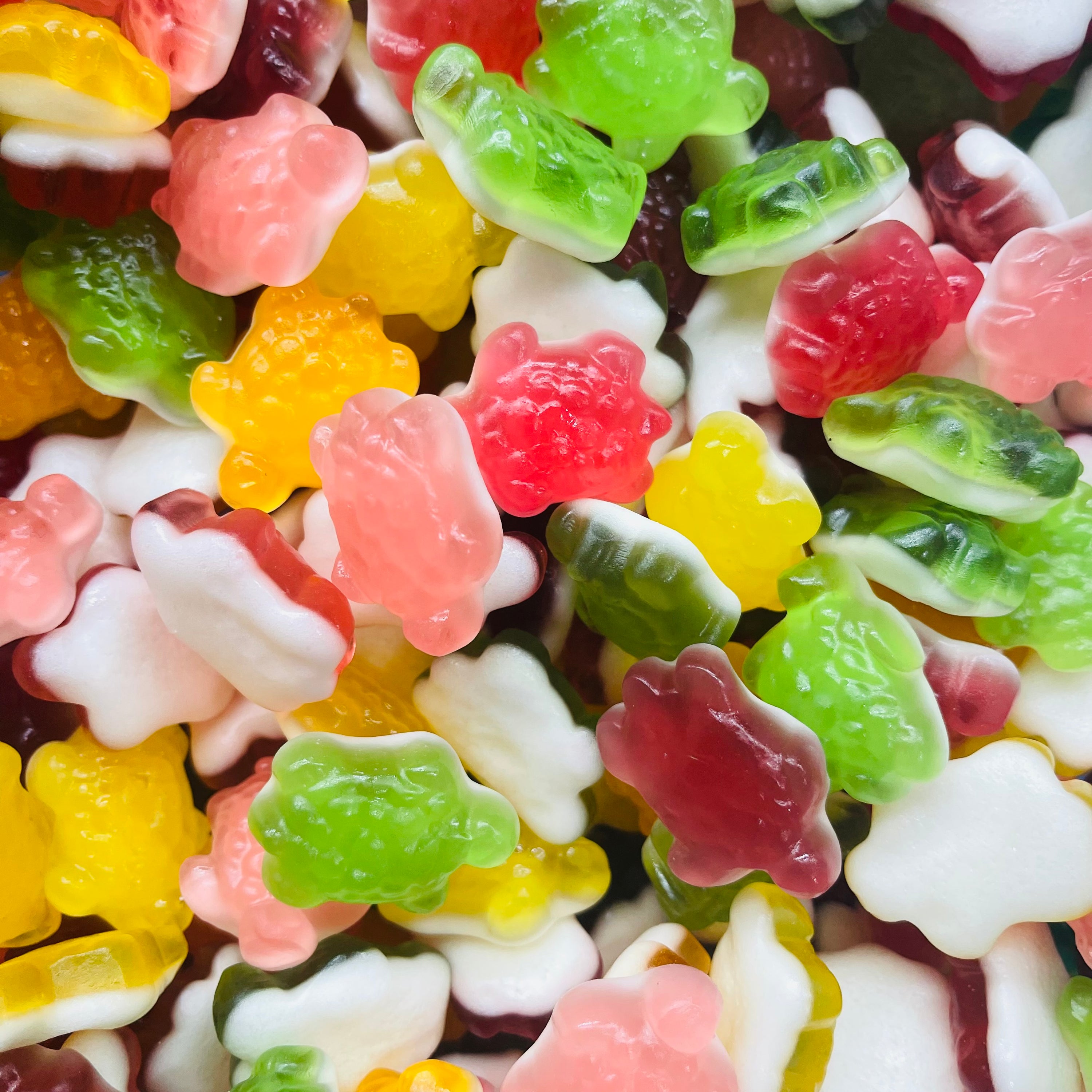 Fruit Turtles - 250g