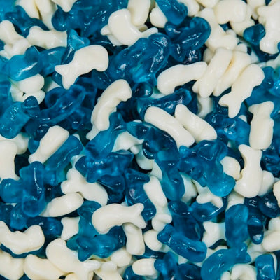 Blue & White Dolphins - 150g